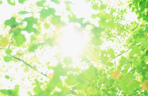 新しい供養のかたち｜お墓のレイワオリジナルの手元墓